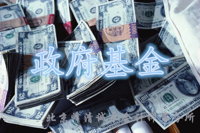 政府专项基金