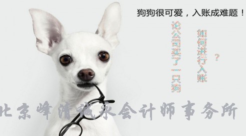 企业买了一只狗，如何进行入账，难倒会计人！